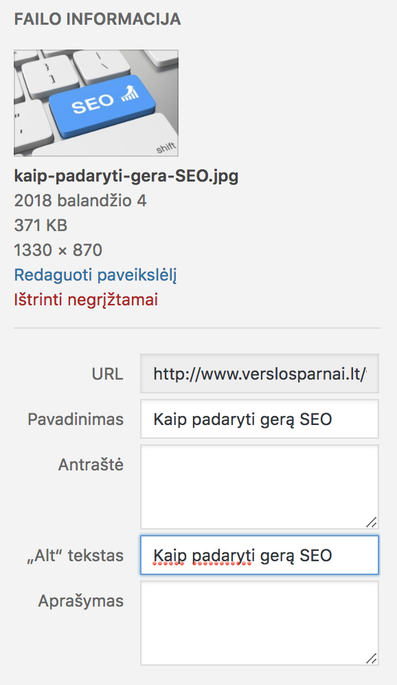 Tvarkingi nuotraukų pavadinimai ir Alt tekstai
