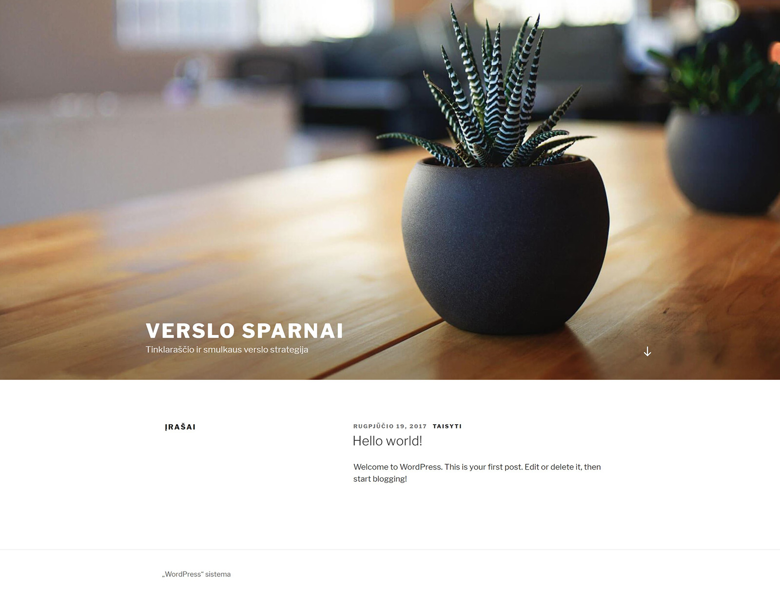 Kaip įdiegti WordPress