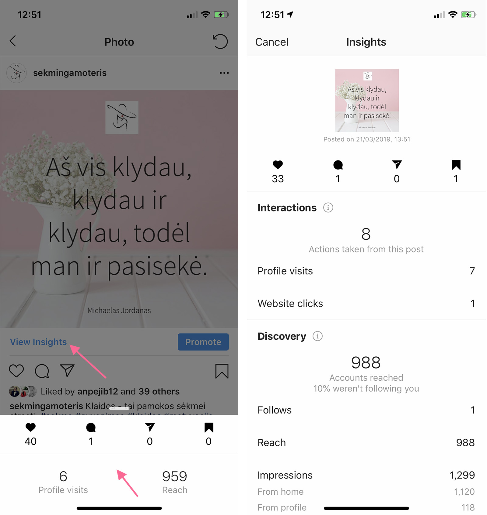 Instagram nuotraukos analizė