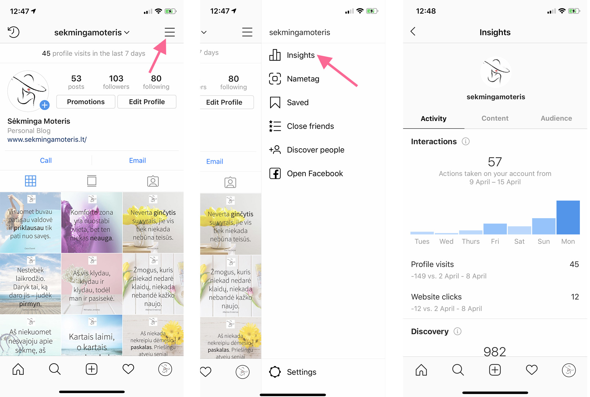 Instagram statistika - profilis