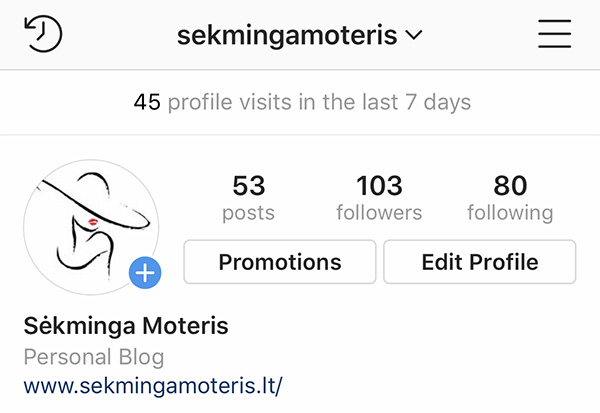 Instagram profilio peržiūrų skaičius